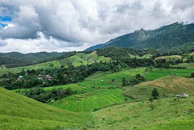 Scenic view of agricultural field against sky