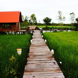 Footpath by grass against sky