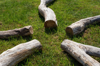 View of wooden log on field