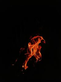 Close-up of fire against black background