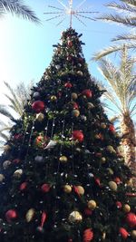 Low angle view of christmas tree