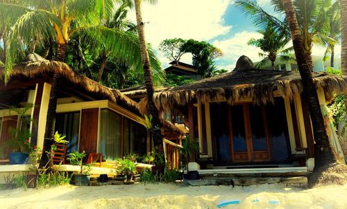 Old house with trees in background