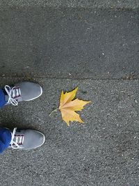 Low section of person standing on yellow autumn leaf