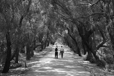 Rear view of people walking on footpath amidst trees