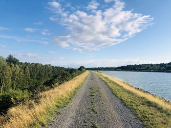 Panoramic view of road amidst trees against sky