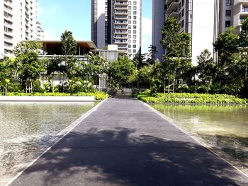 Street amidst trees and buildings in city