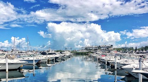 Sailboats moored at harbor against sky