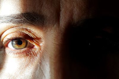 Close-up of woman with hazel eye