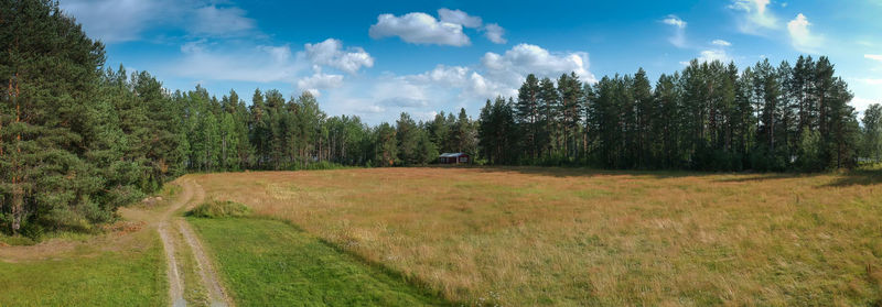 Panoramic shot of trees on land against sky