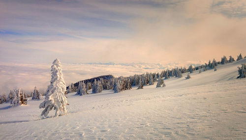 Scenic view of snow covered field against sky