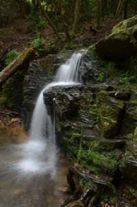 View of waterfall in forest