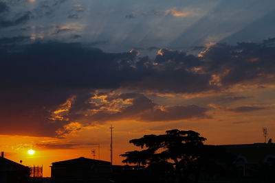 Panorama from the rooftops of rome at sunset, backlit of buildings and trees.