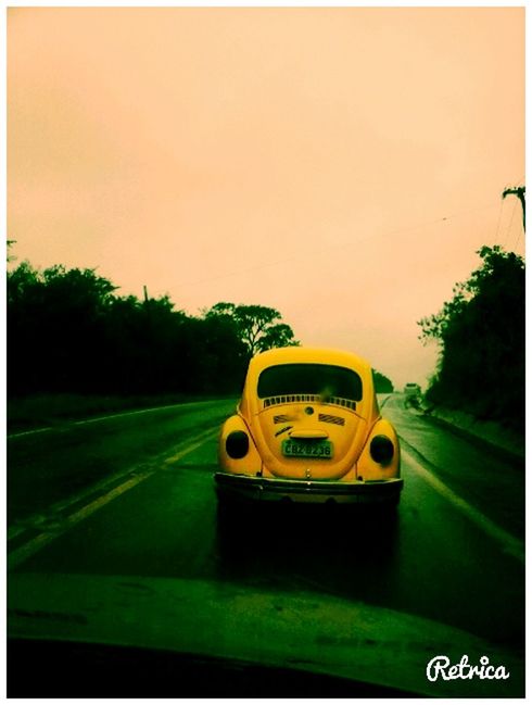 transportation, transfer print, car, communication, land vehicle, road, mode of transport, text, auto post production filter, tree, western script, yellow, green color, road sign, street, sky, information sign, clear sky, no people, road marking
