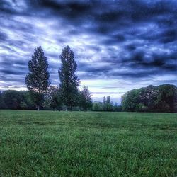 Scenic view of grassy field against cloudy sky