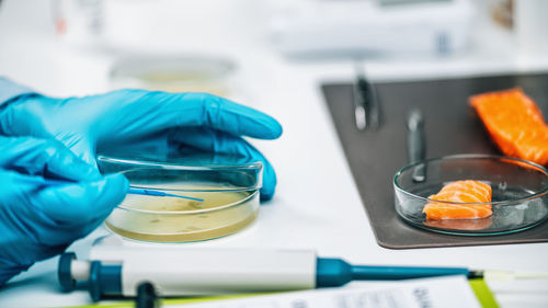 Microbiological quality assessment - testing salmon fish sample.