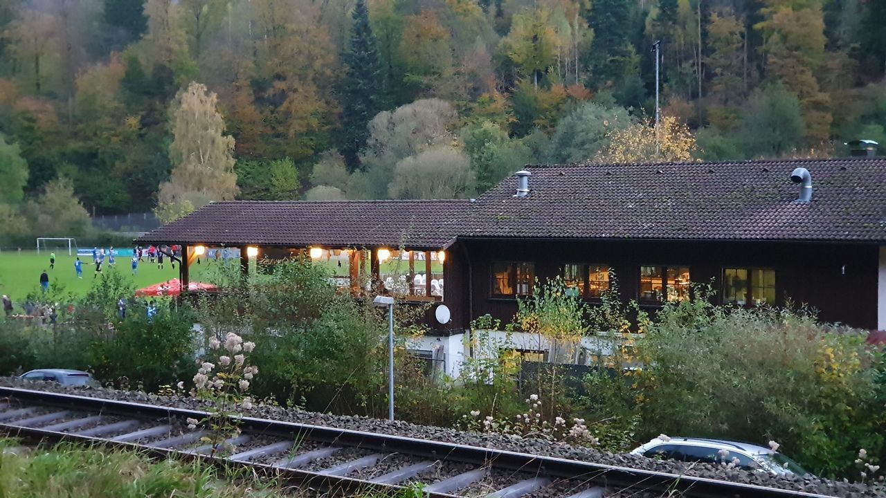 RAILROAD TRACKS BY TREES AND PLANTS SEEN FROM TRAIN