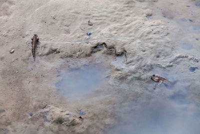 High angle view of beach