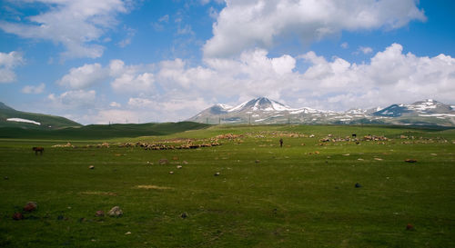 Scenic view of field and mountains against sky