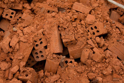 Close-up of human skull on rock