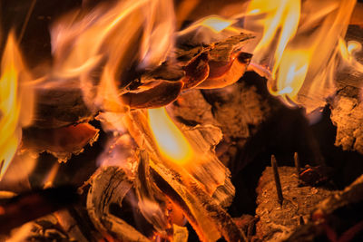 Close-up of fire