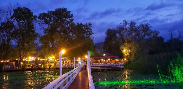 Illuminated trees by river against sky at night