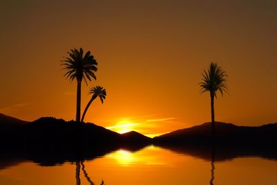 Low angle view of silhouette palm trees against orange sky