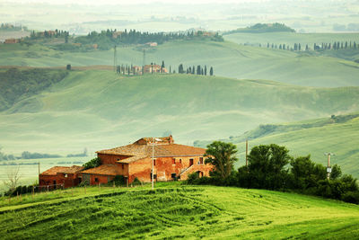 Scenic view of agricultural field by houses and trees