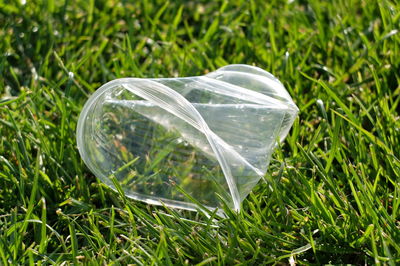 Close-up of water on grass