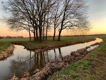 Bare trees on field by lake against sky during sunset