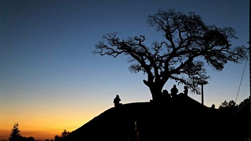 Low angle view of silhouette bare trees against sky