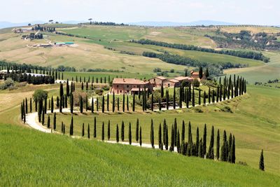 Scenic view of farm against sky