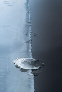 Trees in water