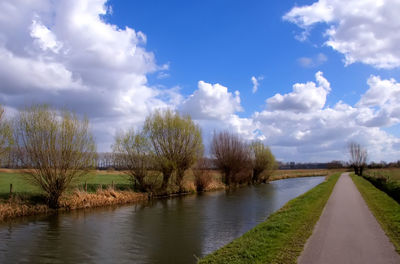 Panoramic view of road by trees against sky