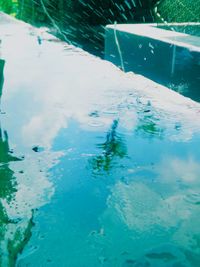 High angle view of turtle in swimming pool