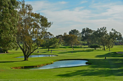 Scenic view of golf course against sky