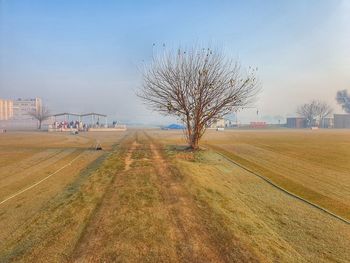Bare tree on field against sky