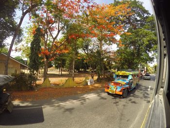 Cars on road in city