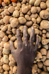 High angle view of human hand a potato pile