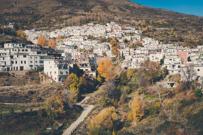 High angle shot of townscape