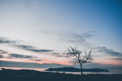 Silhouette tree on landscape against sky during sunset