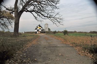 Checkered barn in field  by trees against sky