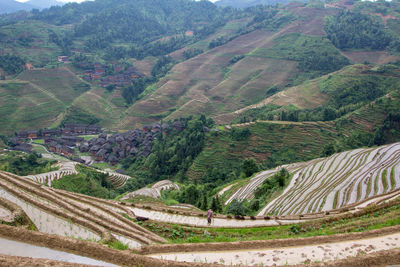 High angle view of agricultural field