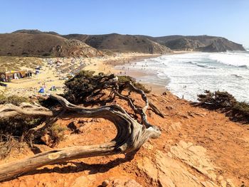 Scenic view of beach against clear sky