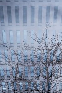 Low angle view of bare tree against sky