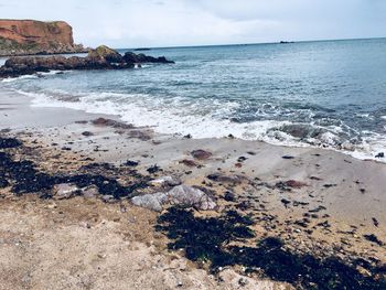 Scenic view of beach against sky