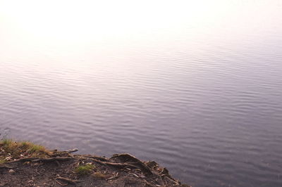 High angle view of lake