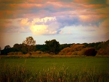 Scenic view of agricultural field against cloudy sky