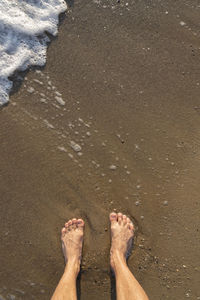 Low section of person on sand at beach