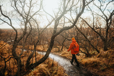 Back view of young tourist with backpack going on walkway between dry woods on hill