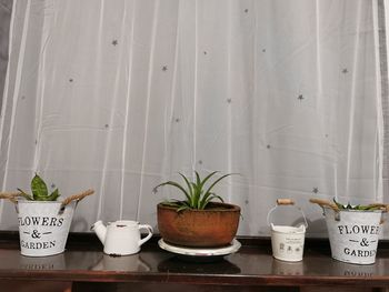 Potted plants on shelf against wall